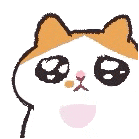 江苏婴儿死亡事件引热议