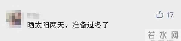 天气预报图冷到发紫