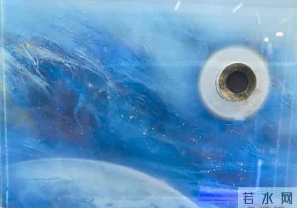 被美国的嫦娥惊艳了