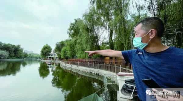 青海也现怪鱼-鱼塘损失1500多斤鱼