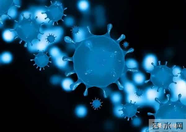 如何结束新冠-112国专家达成共识