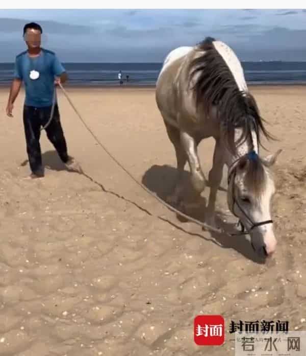 自称骑马回国的小伙道歉