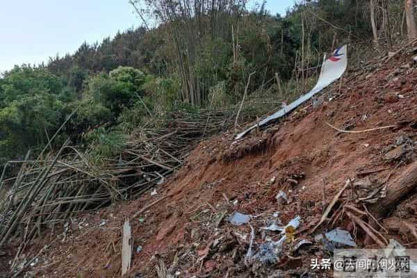 东航132人遇难坠机事故调查进展公布