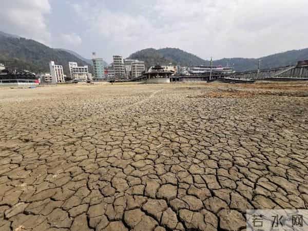 日月潭潭底干枯成块状