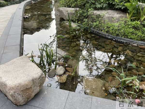 裸背拍照网红道歉