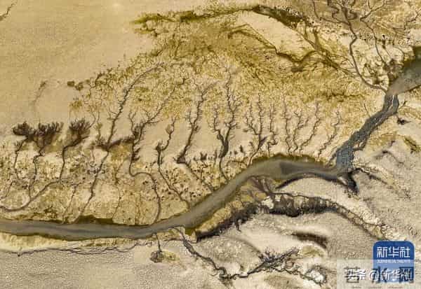 四川乐山大佛脚下河床裸露