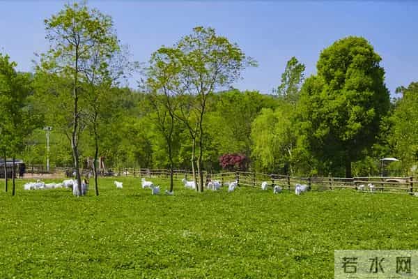 女子种地老公辞职支持