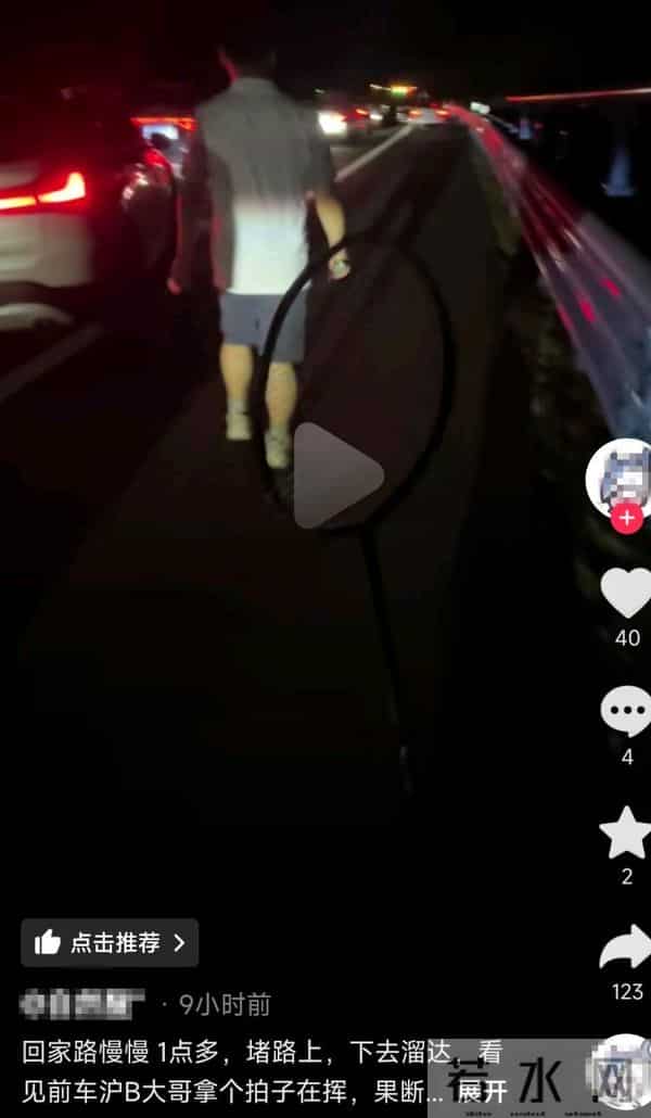 国庆出行车主高速上遛狗打球