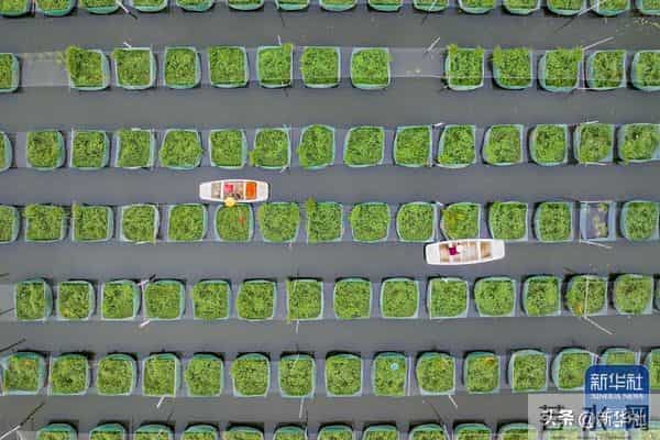 四川乐山大佛脚下河床裸露