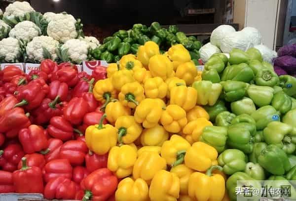 蔬菜价格高位运行态势仍会持续