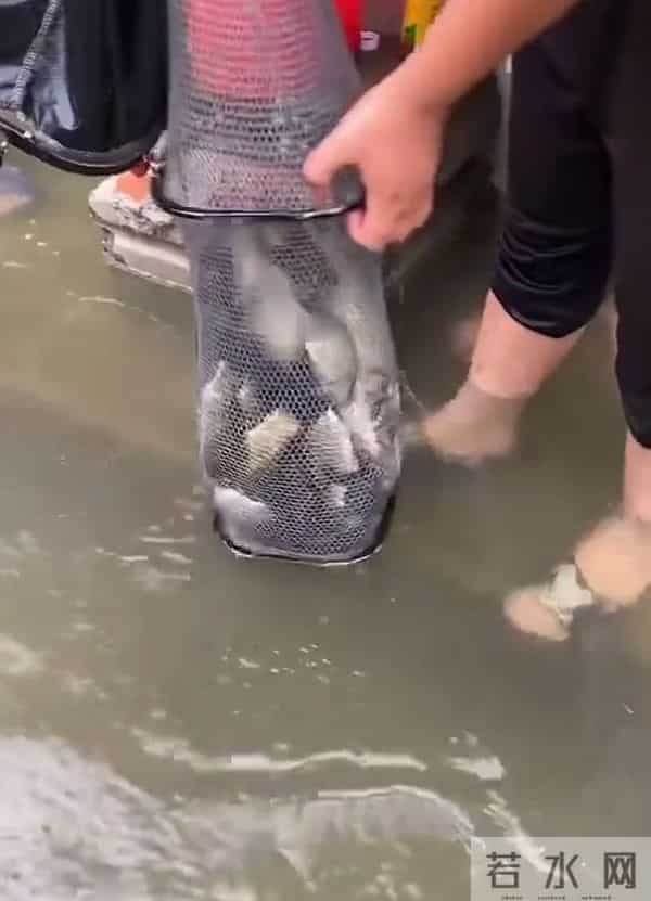 广东暴雨积水成河 有人屋内钓鱼