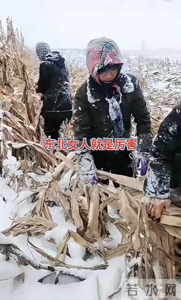 东北雪大到模糊