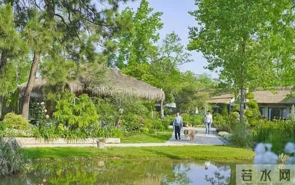 女子种地老公辞职支持