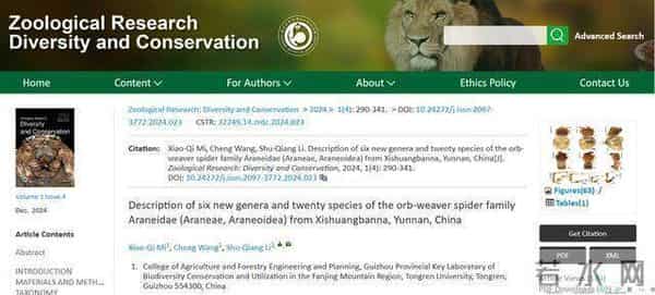 16首周杰伦的歌命名16个蜘蛛新种