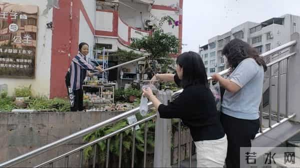 记者养花月入10万