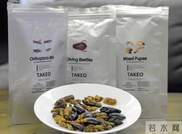 日本蟋蟀食品大受欢迎