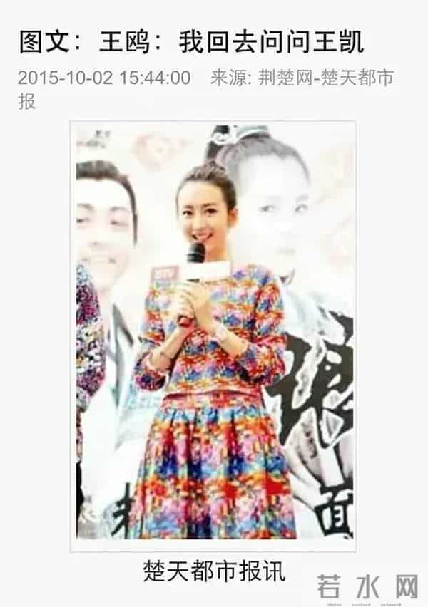 樊胜美男人出轨琅琊榜长公主