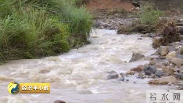 暴雨冲走养殖户百万元中华鲟鱼