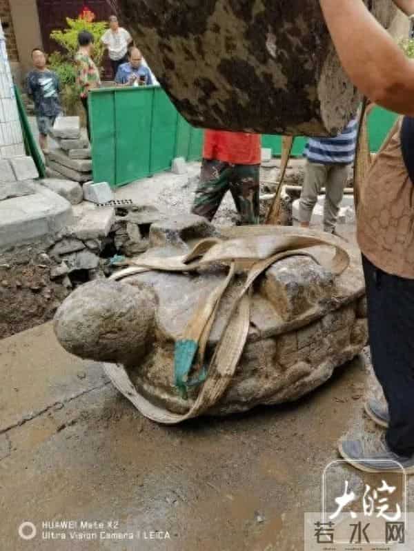 湖南一施工路段挖出超三千斤石龟
