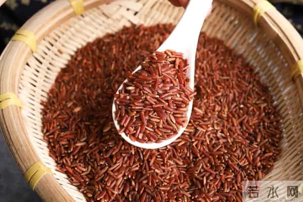 袁隆平念念不忘的海水稻新米要上市