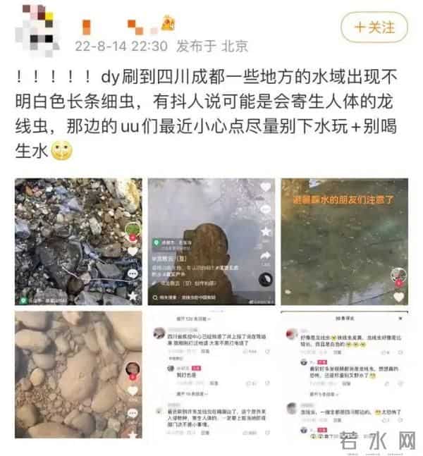 四川疑现数米长龙线虫