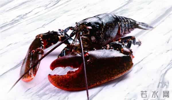 吃小龙虾突然活了1只