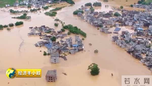 暴雨冲走养殖户百万元中华鲟鱼