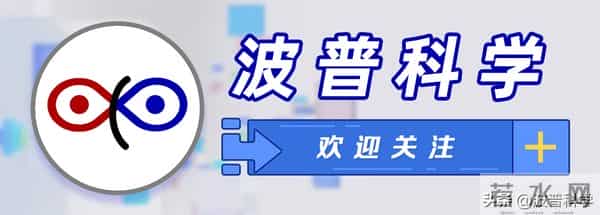 孟晚舟戴脚铐留淤青