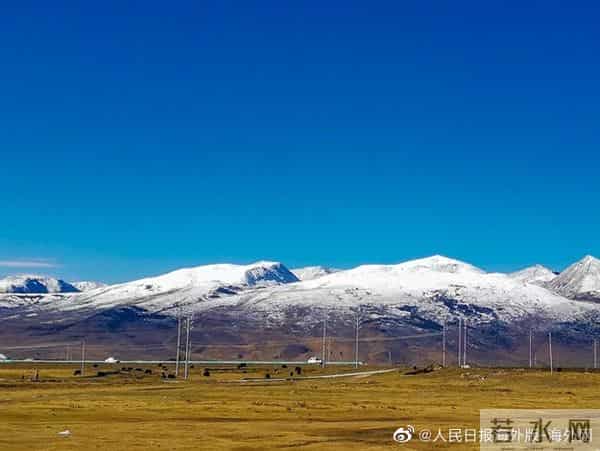 丁真同款耳环在家乡走红