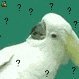 台风过后青岛海滩上尽是海鲜