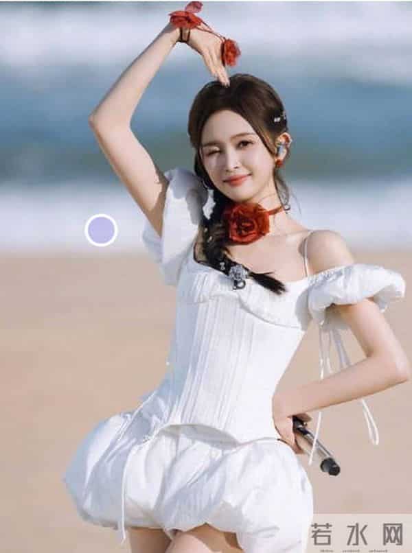 火箭少女十家粉丝