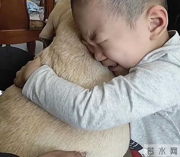 土狗被扔50公里外一星期后跑回家