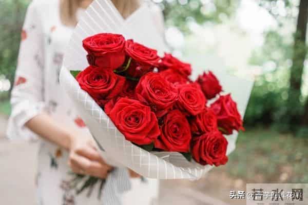 七朵玫瑰代表什么