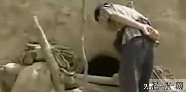 陕西“铁笼女”事件调查结果公布