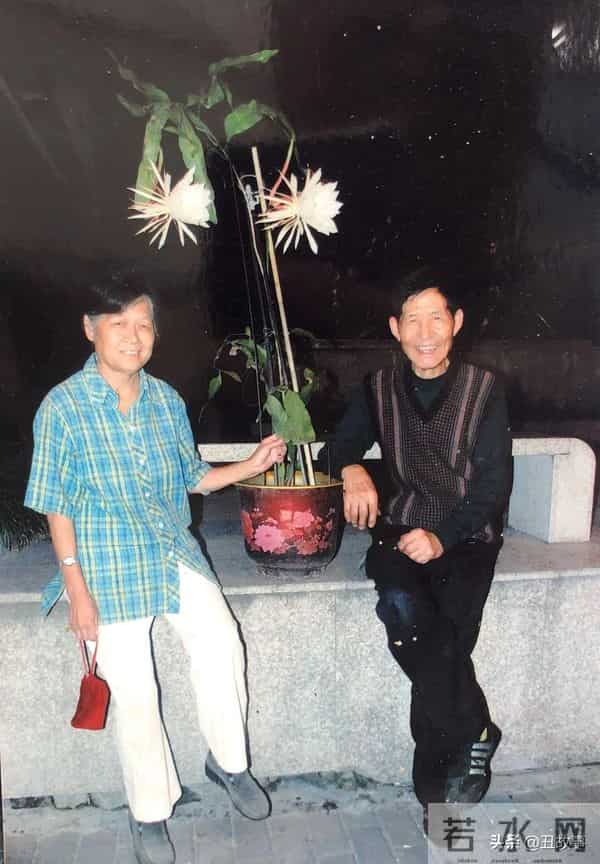 老伴走后第2天浙大老教师又去捡垃圾