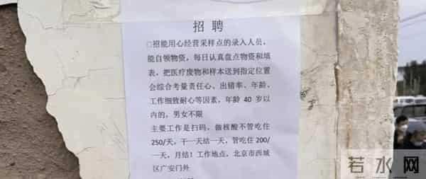 核酸检测员一人难求