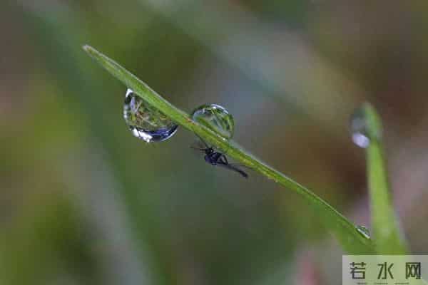 广东新增本土确诊62例无症状194例