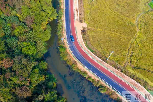 7省区党委书记同日职务调整