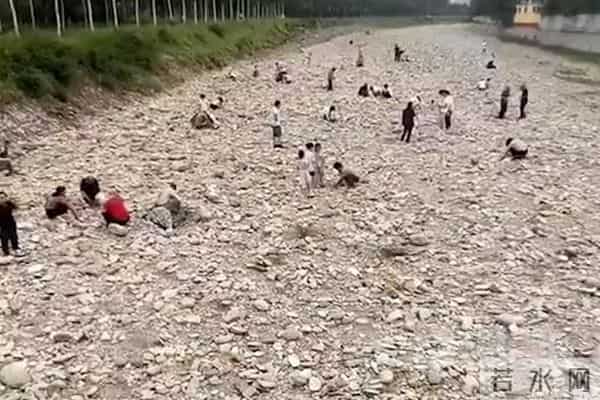 男子自导自演河道内淘金被立案侦查