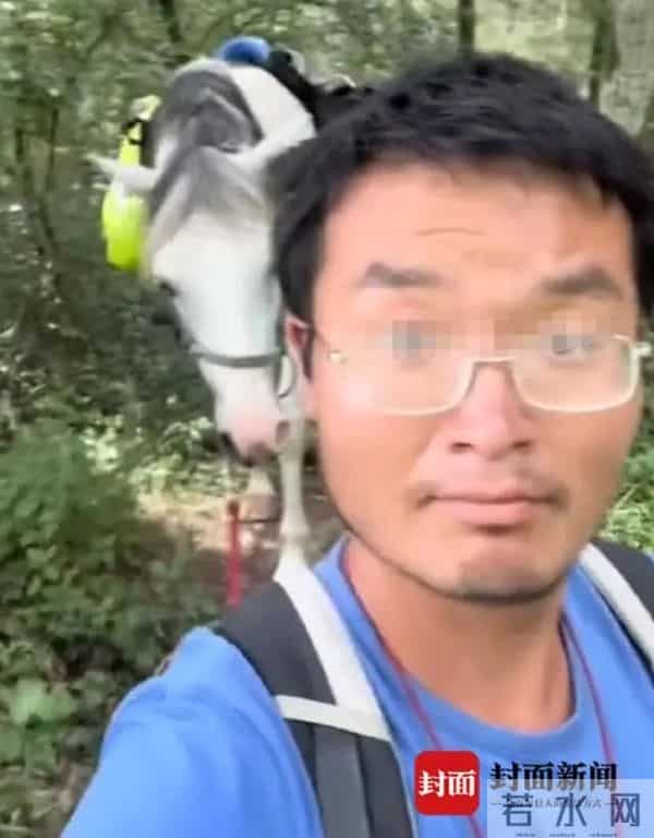 自称骑马回国的小伙道歉