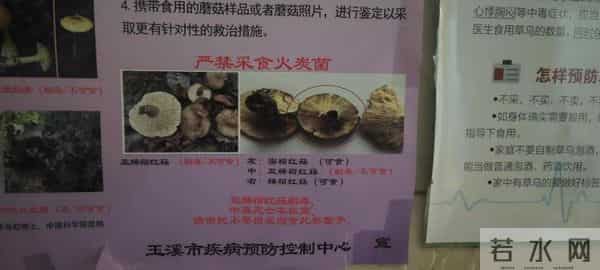 周鸿祎吃菌子看到狗和他说话