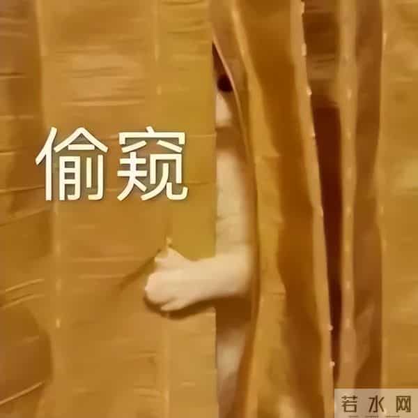 2岁女孩把蛇干当玩具吓跑妈妈