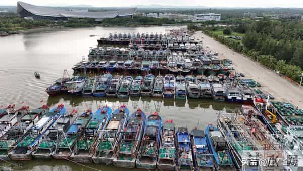 台风登陆海南-暴雨下市民艰难行走