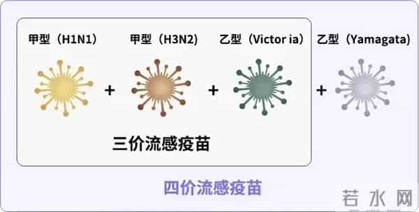疫情或已形成传播双中心
