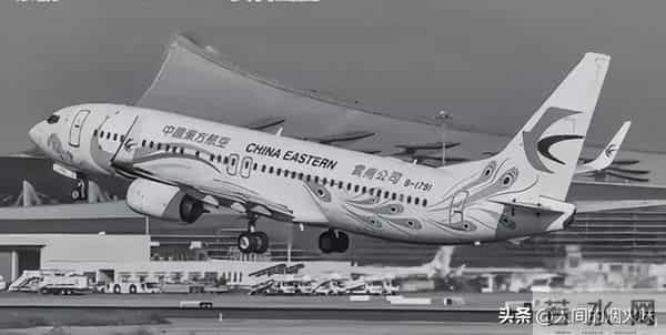 东航132人遇难坠机事故调查进展公布