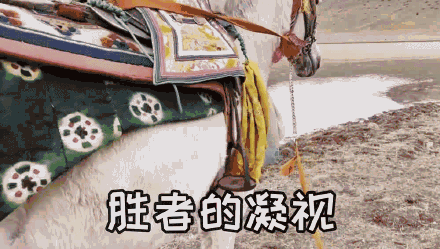 丁真获理塘永久赛马王子奖