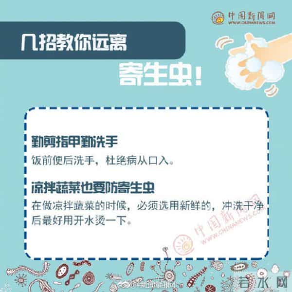 女子瘦20斤脑内取出27厘米长活虫