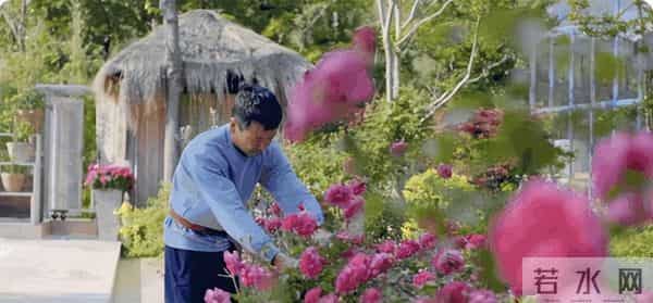 女子种地老公辞职支持