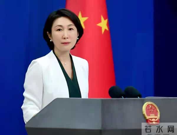 外长现场读宪法回应台湾问题