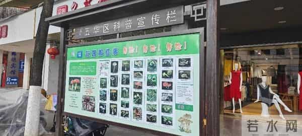 周鸿祎吃菌子看到狗和他说话